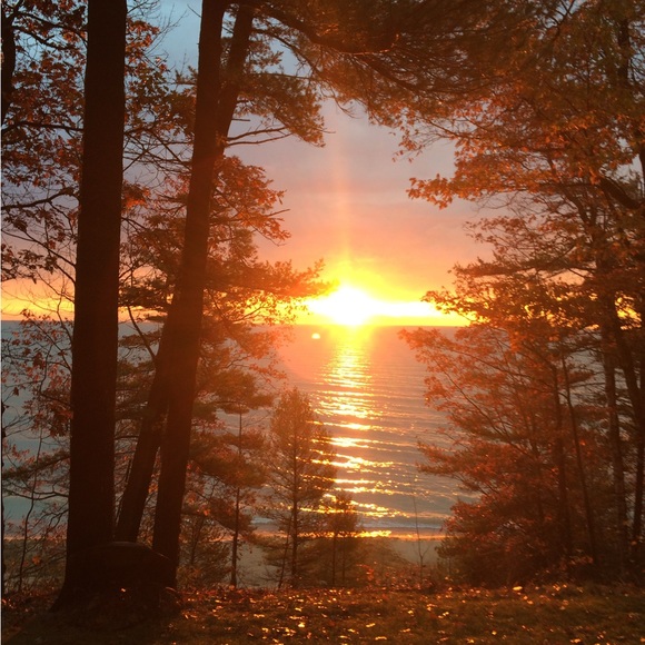 Meet your Posher, Posh - Picture 1 of 1